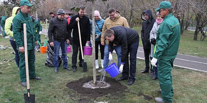 Кусты и деревья в Москве начнут высаживать в конце апреля