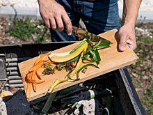 Из каких остатков можно получить хороший компост