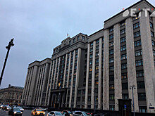 В Госдуме предложили запретить феминизм и нежелание иметь детей