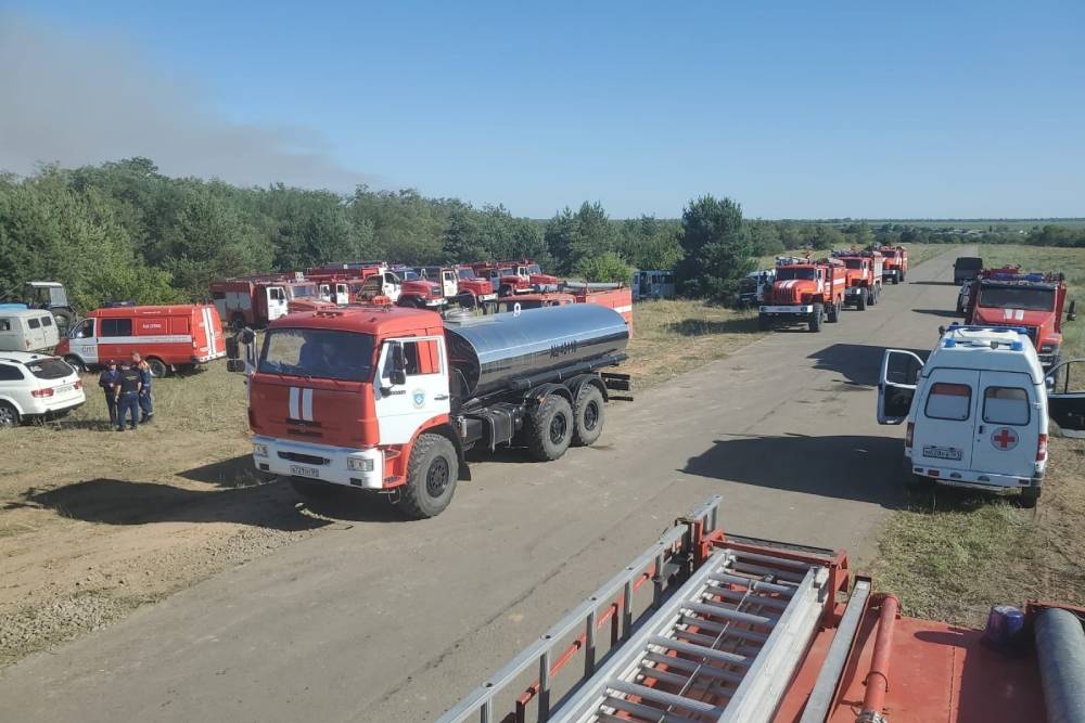 Площадь лесного пожара в Ростовской области приближается к 400 га