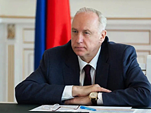 Бастрыкин поручил возбудить уголовное дело из-за хулиганов в Новосибирске