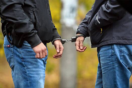 Интерпол по запросу Литвы задержал бизнесмена в России