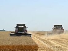 Псковский регион лидер по приросту продукции животноводства – М.Ведерников