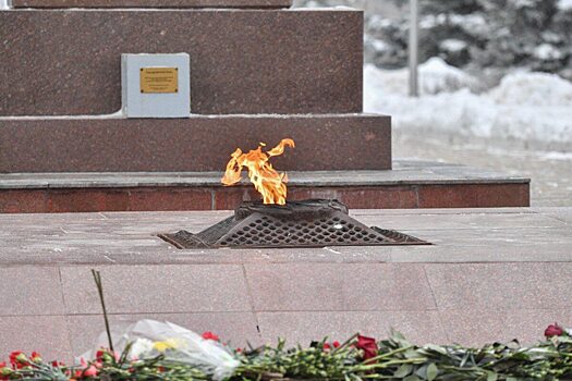Губернатор Бусаргин в парке Победы возложил цветы к Вечному огню в День Героев Отечества