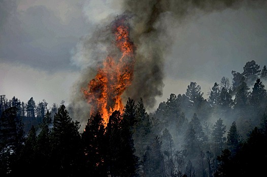 1 млрд рублей превысил ущерб от лесных пожаров в Якутии