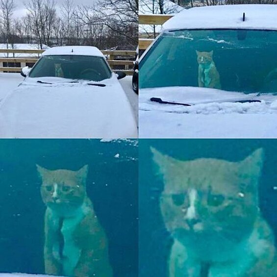 "Жизнь — боль"