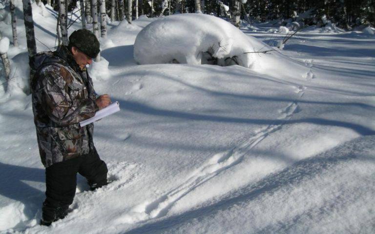 В Оренбуржье охотинспекторы и охотоведы начали «перепись» животных