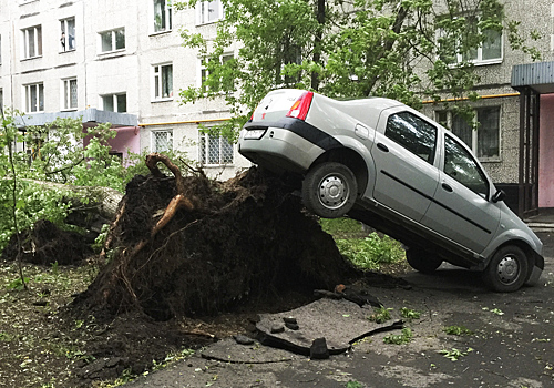 Москвичам  пообещали повторение урагана