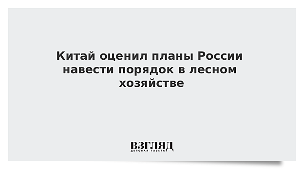 Китай оценил планы России навести порядок в лесном хозяйстве