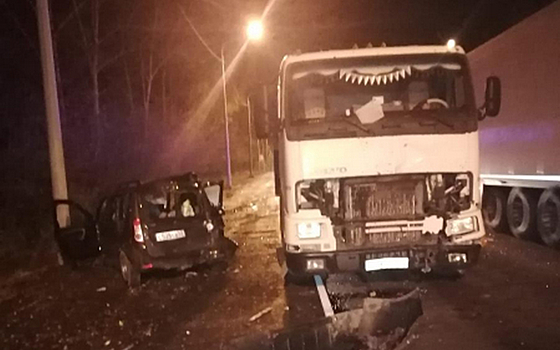 В Рязани в массовом ДТП на федеральной трассе пострадал двухлетний ребёнок