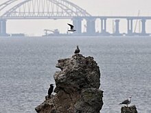 Власти Крыма прокомментировали принятую Генассамблеей ООН резолюцию