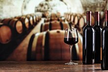 Совфед одобрил закон о виноделии и виноградарстве