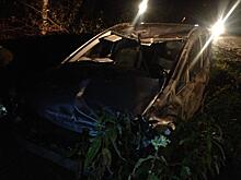 Выбежавший на дорогу в Удмуртии лось повредил сразу два авто