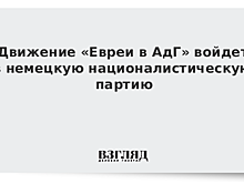 Движение «Евреи в АдГ» войдет в немецкую националистическую партию