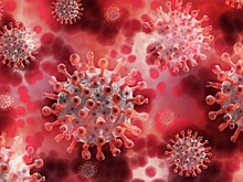 Глава ВОЗ подтвердил, что "омикрон" распространяется быстрее других штаммов коронавируса