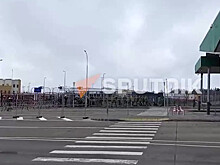 Группа мигрантов прорвалась в Польшу из Белоруссии