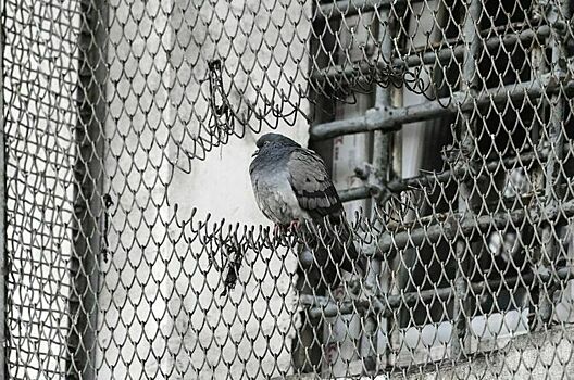 Начальникам исправительных учреждений дадут право вводить особый режим