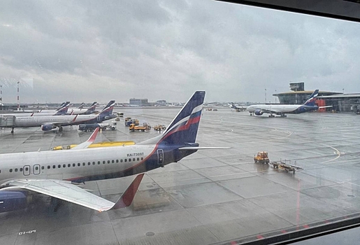 После отмены рейсов билеты из Москвы в Омск подорожали до 50 тысяч в одну сторону