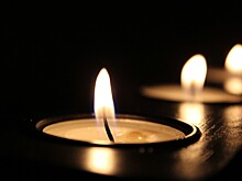 Уголовное дело завели на директора мошеннического бюро ритуальных услуг для животных в Приморье