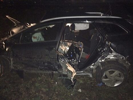 Смертельное ДТП: под Салтыками большегруз смял KIA в гармошку