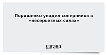 Порошенко считает, что часть голосов на выборах уйдет необычным кандидатам