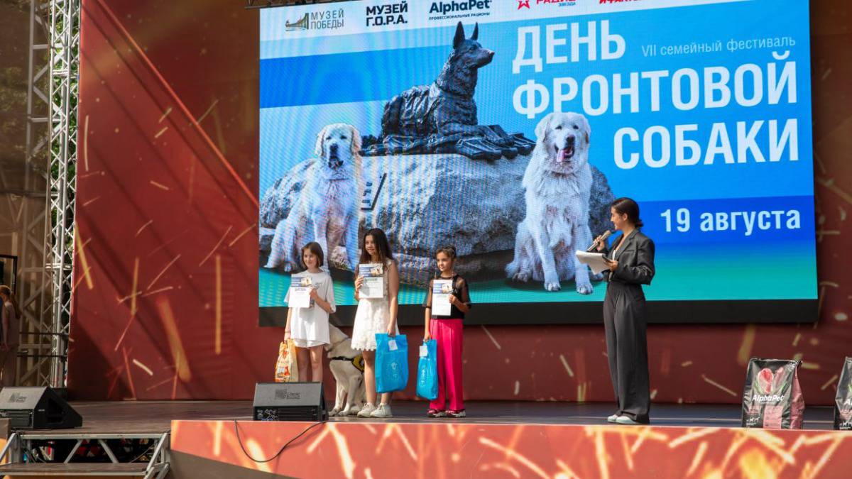 Авторов лучших работ о фронтовых собаках наградили в Музее Победы