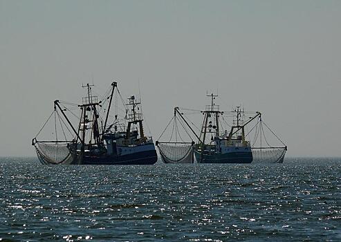 Приморские рыбаки просят гендиректора ВГТРК разобраться с коррупцией