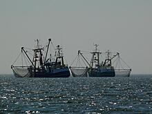 Приморские рыбаки просят гендиректора ВГТРК разобраться с коррупцией