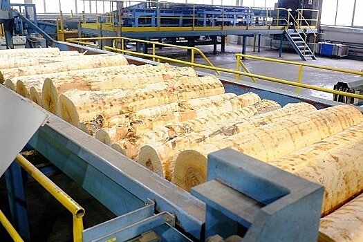 Экспорт пиломатериалов из Кировской области во Вьетнам вырос в 1,4 раза