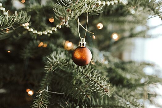 Психолог Наумова ответила, когда пора убирать новогоднюю елку