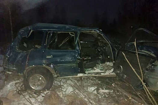 В Красноярском крае шесть человек пострадали в ДТП с опрокидыванием