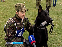В Калининграде стартовал чемпионат специалистов таможенной службы России