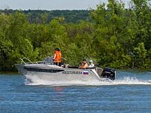 Потравить мышей и крыс призвали владельцев пляжей в Новосибирске