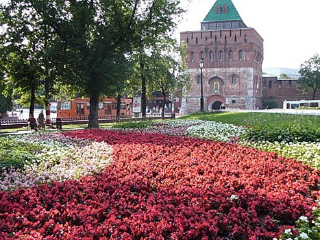 120 нижегородцев подали заявки на конкурс по формированию Общественной палаты