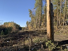 Уголовники пойдут под суд за расправу над знакомым из-за обидных слов