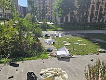 В Москве выбросившего сына и жену из окна мужчину отправили в психбольницу