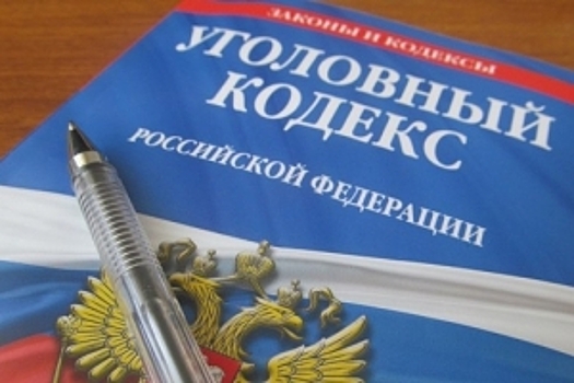 Полиция возбудила уголовное дело об избиении 10 детей в зеленоградской семье