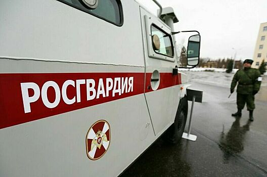 Росгвардия получит дополнительные средства из бюджета