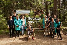 Партия «Новые люди» высадила в Костромской области 10 тысяч деревьев