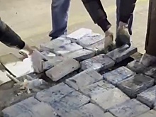 Партию наркотиков на 500 млн рублей изъяли в Петербурге