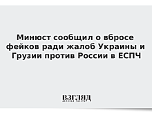 Минюст сообщил о вбросе фейков ради жалоб Украины и Грузии против России в ЕСПЧ