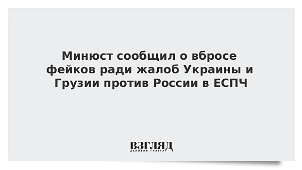 Минюст сообщил о вбросе фейков ради жалоб Украины и Грузии против России в ЕСПЧ