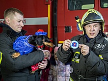 Дошколята и талисман московских спасателей такса Маруся впервые посетили пожарных поселения Воскресенское