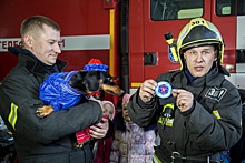 Дошколята и талисман московских спасателей такса Маруся впервые посетили пожарных поселения Воскресенское