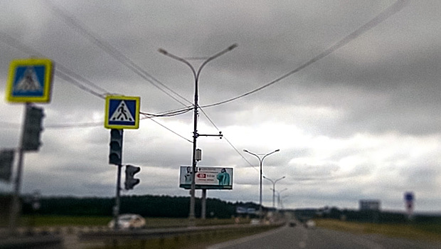 В Москве нашли новую камеру-ловушку