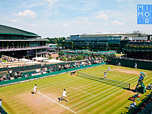 Теннисный турнир Большого шлема «Уимблдон» получит 141 миллион долларов по страховке от пандемии