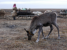 Российские ученые изучат влияние аномального тепла на мерзлоту в Арктике