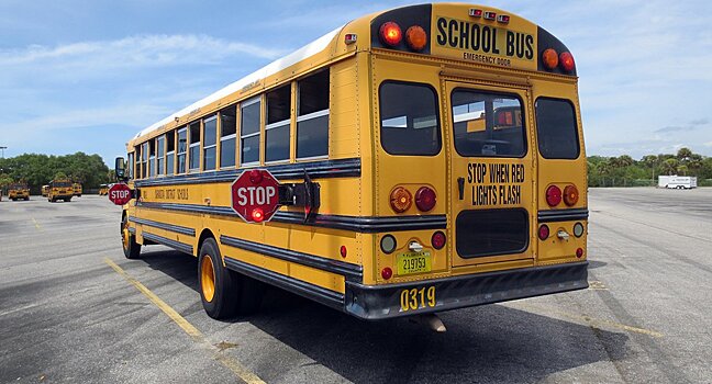 Особенности американских автобусов: зачем у них сбоку черные полосы?