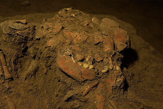 Ученые обнаружили неизвестный ранее вид древнего человека
