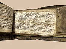 На обложках старых книг знаменитой коллекции из реестра ЮНЕСКО нашли скрытые тексты
